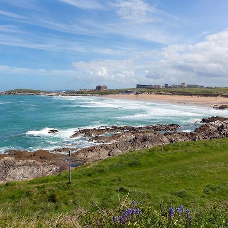 Fistral Beach Garden Apartment 3 New Quay Eksteriør bilde